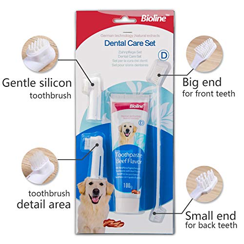 bioline 2 Pack of Dental Care Set Beef Flavor Toothpaste & Toothbrush Pet Oral Teeth Cleaning
