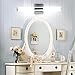ECOBRT 17.7 inch 10W LED Vanity Lights Fixtures Stainless Steel Cool White Light 6000K IP44 Modern Bathroom Vanity Mirror Front Lights fixtures