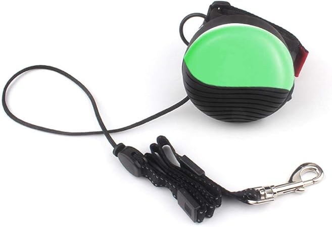 flexi retractable dog leash medium