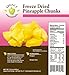 Legacy Essentials Dried Pineapple Chunks - 15 Year Shelf Life for Emergency Survival Food Storage Supply - Great Dehydrated Fruit Snack (Quantity 1)