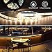 Weatherproof Warm White LED Light Strip, 3528 - 16.4 Feet, 300 LEDs, 3000K, 72 Lumens per Foot. 12V DC