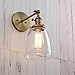 PERMO Industrial Vintage Single Sconce with Oval Cone Clear Glass Shade 1-Light Wall Sconce Wall Lamp (Antique)