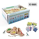 Dinosaur Toys, Dig it Up Dinosaur Egg - Break Open 12 Dino Eggs and Discover 12 Unique Dinosaur Figures, Easter Archaeology Science STEM Kids Toys for Age 4+Years Old Boys Girls