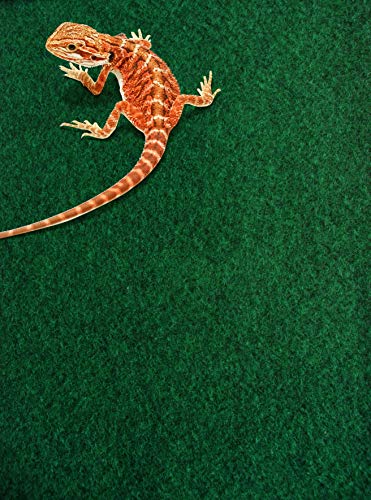 Komodo Reptile Carpet Absorbent Soft Habitat Decor Indoor Use for all Terrariums and Vivariums - 60 x 50cm