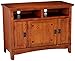 Signature Design by Ashley Cross Island TV Stand Medium Brown