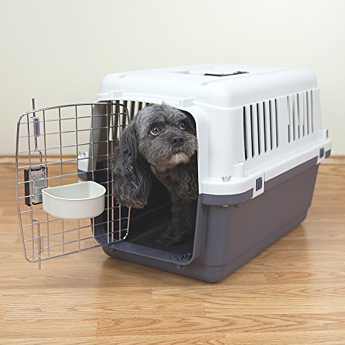 SportPet Designs Plastic Kennels Rolling Plastic Wire Door Travel Dog