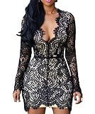 made2envy Deep V Neck Lace Nude Illusion Mini Dress