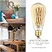 LEOOLS LED Amber Edison Bulb Dimmable 12W, 2500K Warm White,1200LM, 100W Equivalent, E26 Edison Style Vintage LED Filament Decoration Light Bulb,Pack of 4.