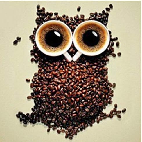 XIGZI Owl Coffee 20X20Cm New 100% Full Area Highlight Diamond Needlework Diy Diamond Painting Kit 3D Diamond Cross Stitch Embroidery Frameless
