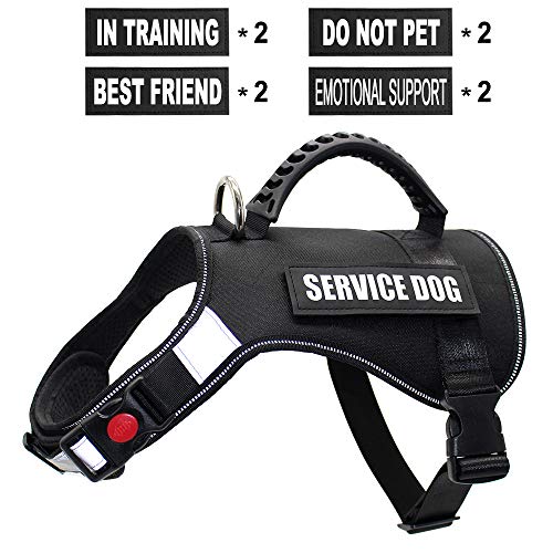 Compare Price do not pet harness on