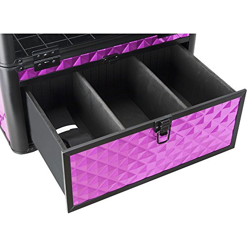 SUNRISE Nail Case on Wheels 2 in 1 Professional Organizer, 54 Bottle