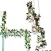Yiliyajia Artificial Rose Vine Garlands,Silk Flowers Flora Green Leaf Garlands,Home Decor Wedding Decoration 8Ft Length Pack of 5 (pink)
