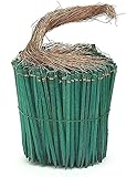 Wired Wood Picks 4" Package of 750 Picks in Green