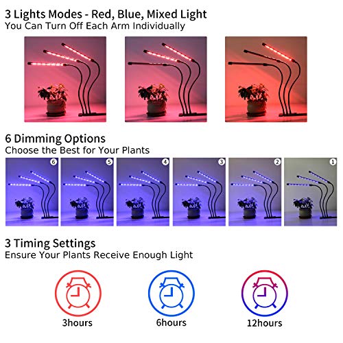 3 Light+Lights+Indoor+Plants+Spectrum