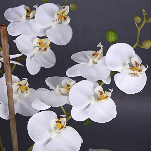 image for Livilan Large White Silk Orchid Artificial Flower Arrangements with Va