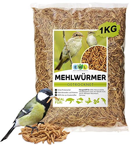 Mehlwürmer getrocknet 1kg = 6500ml Insektensnack für Vögel, Fische, Schildkröten, Nager und Reptilien, Vogelfutter Wildvögel Ganzjährig, Eichhörnchen Futter, Igelfutter