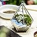 NCYP 5.3 inches Silver Handmade Wall Hanging Geometric Glass Terrarium Window Sill Balcony Succulent Planter Small Indoor Decoration Flower Pot Vase Centerpiece for Wedding Table (No Plants)
