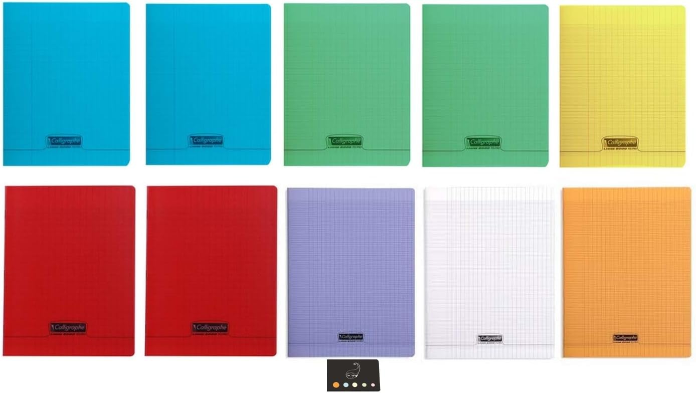 Lot of 10 Notebooks 24x32- 48 pages Seyès- polypro cover - large squares + 1 ballpoint pen Blumie Shop
