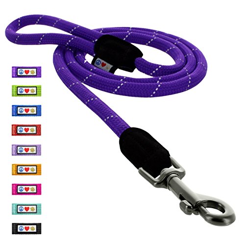 Pawtitas Pet Training 6 foot Reflective Rope Puppy / Dog Leash Medium / Large Purple