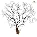 SunGrow Natural Aquarium Sea Fan Dramatic Piece of Aquarium Décor - Great for Fish Tanks, Terrariums, Plant Tanks, Art Projects, Wall Decor