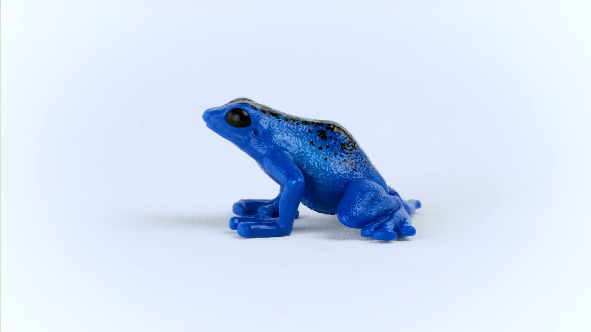 SCHLEICH WILD Life | Blauer Pfeilgiftfrosch 14864 | detailgetreue Tierfiguren | Zoo Spielzeug | tolles Geschenk für Jungen und Mädchen | Deko für Geburtstag | Spielfigur ab 3 Jahren | 5 x 5 x 3 cm 4