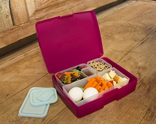 Bentology Leak-proof Bento Lunch Box with 5 Removable Containers, Translucent Raspberry