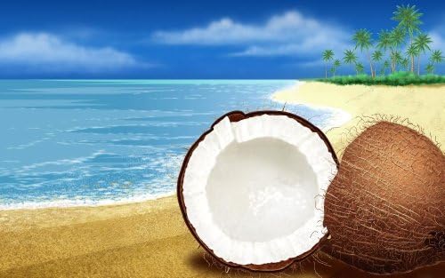 1 oz Candle Soap Home Fragrance Oil-Coco Caribbean