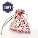 Luxurious Double Tassel necklace Gold Plated Long Design gift necklace