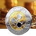 SHZONS Ripple Coins, 2 PCS Commemorative Round Collectors Coin XRP Physical Coins,Digital Blockchain Crypto Currency,Funny Gift for Boy,Girl,Woman,Man