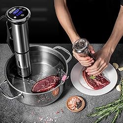 ostba sous vide cooker