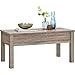 Gracelove Wood Lift-Top Coffee Table Computer book desk, Multiple Colors (Sonoma Oak)