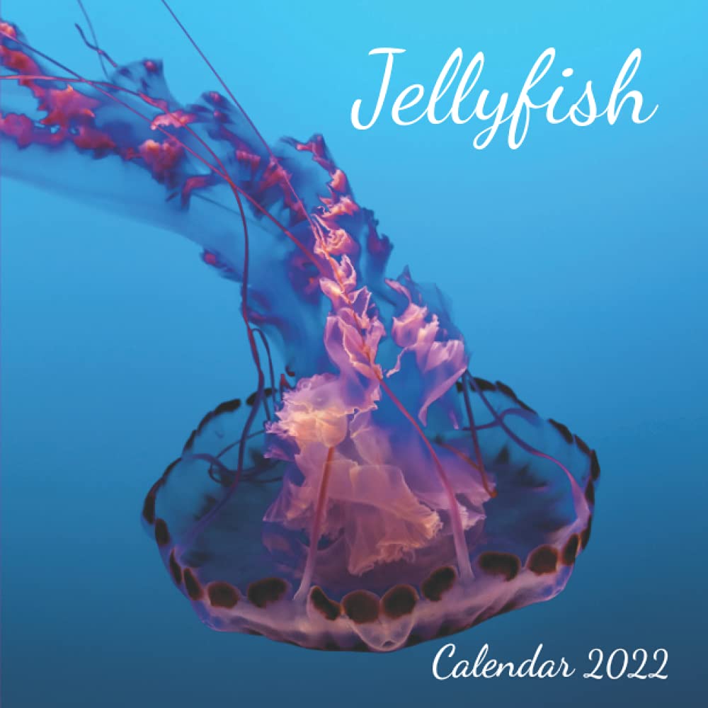 Hawaii Jellyfish Calendar 2022 Amazon.com: Jellyfish Calendar 2022: Non Spiral Mini Calendar 2022 | Uk And  Us Official Holidays | A Must Have For Jellyfish Lovers.: 9798491056989:  Publisher, Amsa Cl: Books