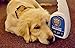 STAIN FU Pro Strength Carpet Odor & Stain Remover Works Like Magic in a Bottle on Tough Urine Feces Vomit and Even red Wine Too! 24 fl.oz