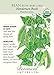 Organic Henderson Bush Baby Lima Bean Seeds - 15 g