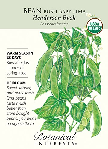 Organic Henderson Bush Baby Lima Bean Seeds - 15 g Organic Henderson Bush Baby Lima Bean Seeds - 15 g