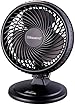 Sunbeam 8" Blizzard Power Fan, Black