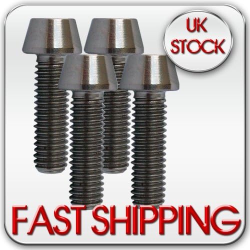 4 Titanium bolts M6 x 20mm Tapered head (disk brake caliper and mount bolts)
