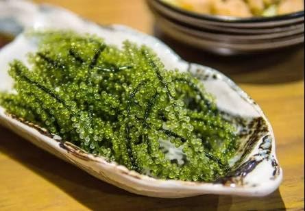 New Fruit Seeds 50 Pcs Seagrapes Seeds Advanced Fruit Seed Natural Growth In Water Grape Sweet Kyoho Garden So Rare 5