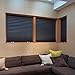 Granatan Paper Pleated Shade 36'' x 72'' Window Blind Blackout Light Block Cordless Black