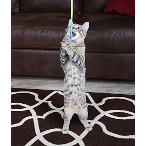 Pet Supplies, Cats, Toys, Mice & Animal Toys
