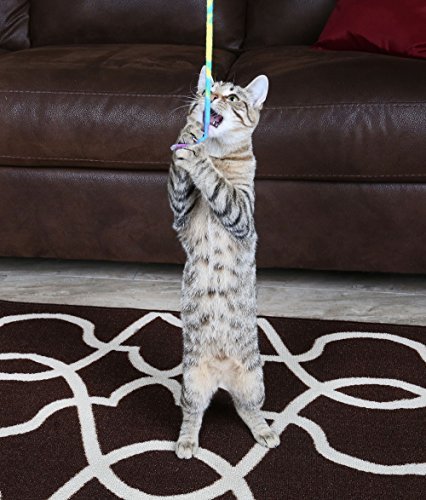 Cat Dancer Charmer Toy - Image 2