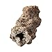 Lightning Science Kit – Dig Up 2 Real Fulgurites (Lightning Strike Glass)