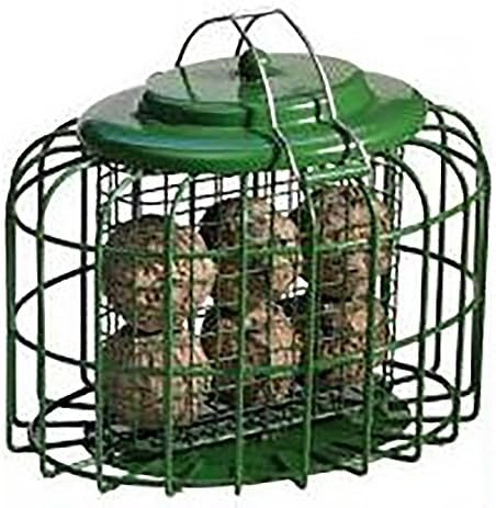 Garden Things Classic Squirrel Proof Oval Fat Ball Bird Feeder (One Size) (Ocean Green)
