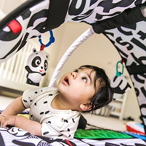 Baby Einstein Bold New World High Contrast Playmat, Newborns and Up