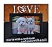 Spiretro 4 x 6 inch Memorial Pet Dog and Cat Wood Picture Frame with Easel & Plexiglass, Tabletop Display or Wall Mounting Decor, Metallic Blond Patina and Espresso Black Photo Frame