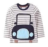 Fiream Boys' Cotton Crewneck Stripe Long Sleeve T-shirt