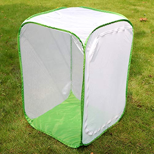 6 RESTCLOUD+Monarch+Butterfly+Collapsible+Terrarium