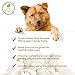 hotspot pets 10 Pack - 6-7 Inch Certified Facility Rawhide Dog Chews - from Grass Fed Brazilian Cows - Promotes Tooth Health and Good Behavior (10 Pack)