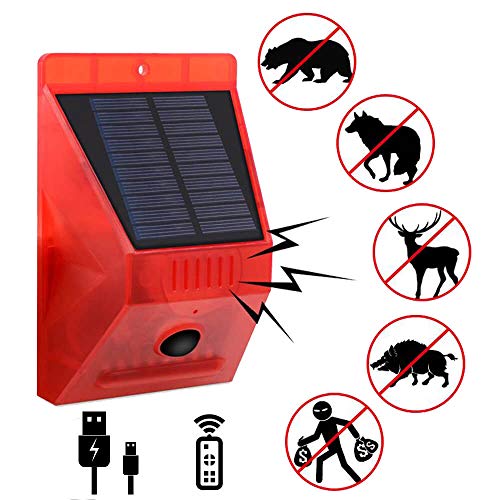 security lights with sound