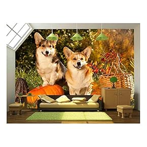 Wall26 - Welsh Corgi Pembroke Dog Wall - Canvas Art Wall Decor - 66"x96"